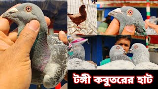 রবিবার টঙ্গী কবুতরের হাট ২০২৫। racing pigeon price। গিরিবাজ কবুতর। ফেন্সি কবুতরের দাম