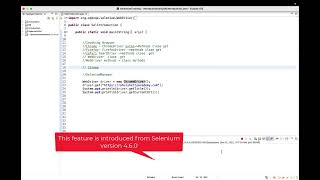 Selenium UPDATE - No need to set Browser driver paths in the Script