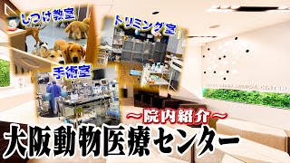 【日本最大級】WOLVES Hand動物病院グループのTOP★【大阪動物医療センター】病院紹介です！！