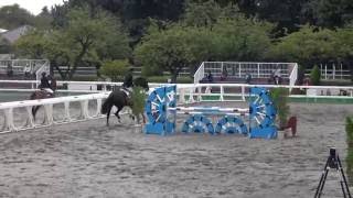 第51回オリンピック記念馬術大会　東京障碍飛越110 Ⅲ　4年　沖廣　諒一　桜宝