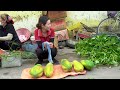 harvest giant papaya make delicious papaya jelly go to the market to sell phuong harvesting