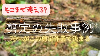 【経験0から柿農家】この１年の柿の収穫に大きく関わる剪定作業の大切さを失敗から学ぶ