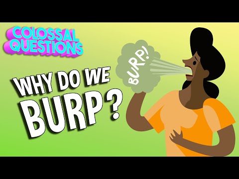 Why Do We Burp Colossal Questions Safe Videos For Kids