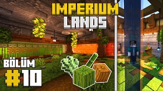 ImperumLands : Bölüm #10 - BASİT FARM ve AKILLI SU ASANSÖRÜ !! - Minecraft Modsuz Survival 1.19