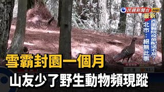 雪霸封園一個月 山友少了野生動物頻現蹤－民視台語新聞