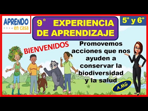 PROMOVEMOS ACCIONES QUE NOS AYUDEN A CONSERVAR LA BIODIVERSIDAD Y LA ...