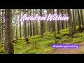 🌟LYRICS Awaken Within- | Soul music, high frequency/Awakening Alma