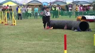 20131005　JKC　新潟中越アジリティー競技会　in　長野県松本市今井ピクニック公園  ＪＪ　ＪＰ1