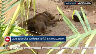 പത്തനംതിട്ടയിലെ ആക്രമണം രണ്ട് ദിവസം മുൻപുണ്ടായ സംഭവത്തിന്റെ തുടർച്ചയെന്ന് എസ്‌പി