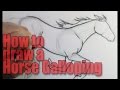 How to draw a Horse Galloping