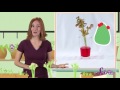 the color changing celery experiment