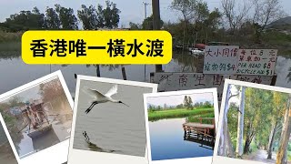 【香港唯一橫水渡】天空之鏡｜南生圍｜橫水渡｜大草地｜婚沙橋｜魚塘豆腐花$10 抵食｜情侶好去處｜打卡觀鳥｜短線｜輕鬆路線｜輕鬆郊遊｜香港初級行山｜假日好去處｜香港好去處｜簡單行山【廣東話｜中文字幕】