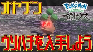 【ポケモンアルセウス】オヤブンのウソハチを入手しよう【Pokémon LEGENDS アルセウス】