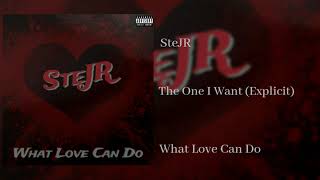 SteJR - The One I Want (Explicit)