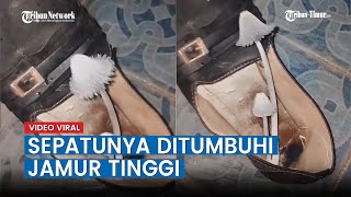 Video Viral Cerita Wanita Temukan Sepatunya Ditumbuhi Jamur Tinggi