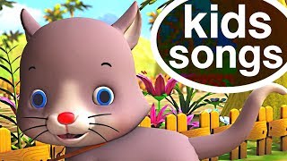 Animal Songs 🐹 🐤 Nursery Rhymes Playlist for Children | Educational Baby Songs