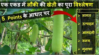 एक एकड़ लौकी की खेती में लागत, आमदनी और प्रॉफिट की पूरी जानकारी | Bottle Gourd Farming In India