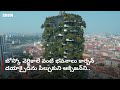 vertical forest నగరం మధ్యలో అద్భుతమైన నిలువు అడవి.. ఈ భవనంలో వాతావరణం ఎలా ఉంటుందంటే.. bbc telugu