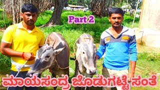 ಮಾಯಸಂದ್ರ ಜೊಡುಗಟ್ಟೆ ಸಂತೆ hallikar Bulls, cows market part 2