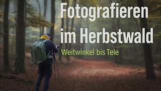 Fotografieren im Herbstwald. Nebelbilder mit Weitwinkel und Teleobjektiv.