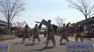 肥後荒尾さのよい踊り子隊さん　2016　有田 焱YOSAKOIまつり