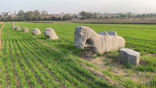 实拍狸猫换太子的主角宋仁宗生母李宸妃墓，石像生被埋的只露头了