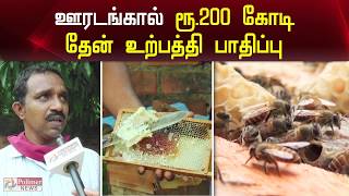 ஊரடங்கால் ரூ. 200 கோடிக்கும் மேல் தேன் உற்பத்தி பாதிப்பு | Honey Production 200 Crores Loss