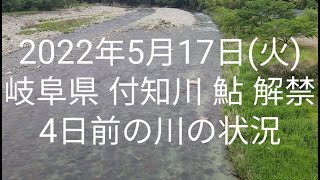 2022年5月17日(火) 岐阜県 付知川 鮎 解禁4日前の川の状況