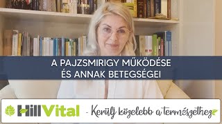 A pajzsmirigy működése és annak betegségei ☝️ - HillVital