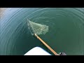 芦ノ湖のマス釣り！【フライフィッシング】trout fishing on the fly in lake ashi