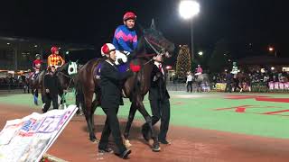 2018.12.5 大井🐎11R  第10回 勝島王冠競走（SII）周回 その2