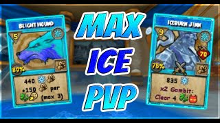 Wizard101: Max Ice PvP (160)