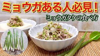 ミョウガがある人必見！ミョウガタケの食べ方♪ミョウガの茎の柔らかい所を美味しく頂きます。鯖水煮缶と和えるとおつまみやご飯、そうめん、冷奴等に最高に美味しいです。