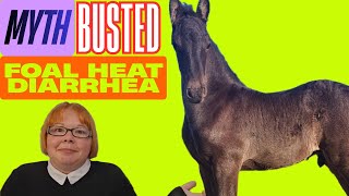 Foal Heat Diarrhea: Dangerous Myth Busted