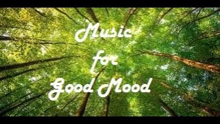 Forest 4K European Nature Relaxation Film | Meditation Relaxing Music | Scenic Relaxation Film