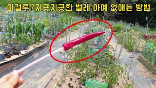 텃밭에 작물 집에 화초 벌레 병충해 아예 생기지 않습니다