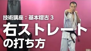 右ストレート,逆突きの打ち方：パンチ基本稽古3【空手道禅道会 技術解説：8 】 武道総合格闘技／How To Right Cross Punch MMA KARATE