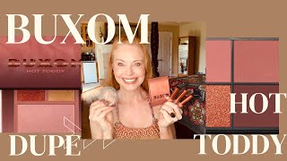 Review Of Buxom’s New Hot Toddy Products \u0026 A Dupe🍂 Watch Before You Buy!!!