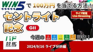 【WIN5で100万円：ライブ分析編】 2024年9月16日（月）セントライト記念【競馬】