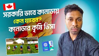 সরকারী ভাবে কানাডায় কেন যাবেন? কানাডা কৃষি ভিসা | Canada Visa Information