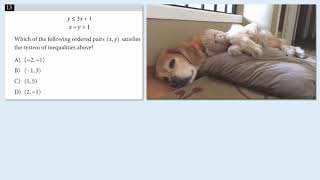 So Easy! (SAT Math)