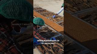 Export Quality ഉണക്ക മീൻ | Dry Fish market #dryfishmarket #dryfish #dryfishrecipe #dryfishcurry