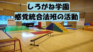 のぞいてみよう！しろがね学園の療育の取り組み～感覚統合法班の活動～