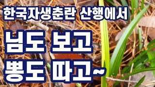 한국자생춘란 산행에서 예쁜 란도 보고 식용가능한 버섯들도 즐비한~~