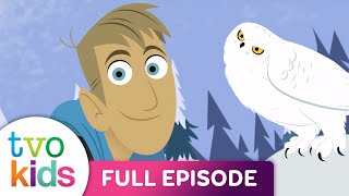 Wild Kratts - Snowy Owl Invasion - Season 4 Full Episode