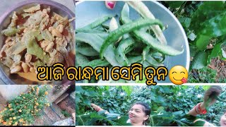 ଆଜି ବନାମା ଚାଲୁନ ସେମି ତୁନ😋