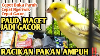 Racikan Pakan Kenari Ini Bikin Kenari PAUD, Kenari MACET gak berhenti BUNYI I KING BIRD TRAINING