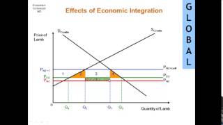 Effects of Economic Integration