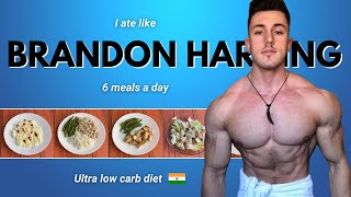 I Tried “ BRANDON HARDING ” weight loss diet plan for a day !! 🇮🇳