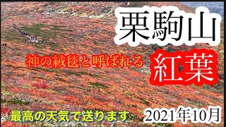 【栗駒山】紅葉登山　神の絨毯を歩いてきました